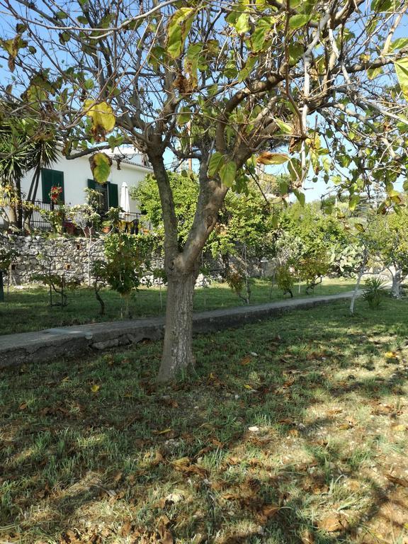 Villa Ninetta-Isabella Gaeta Exterior foto